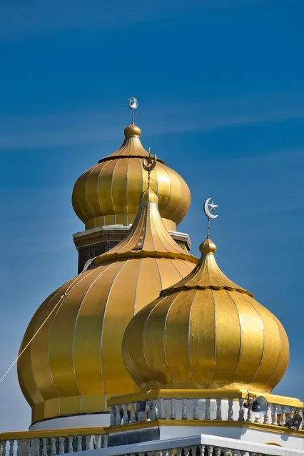 Szczęście jest jak... cebula